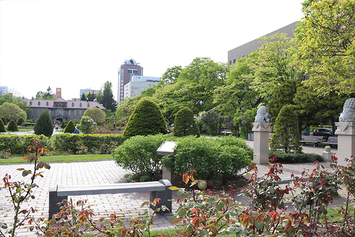 大通公園から徒歩２分